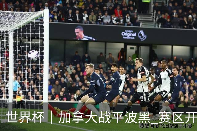 世界杯｜加拿大战平波黑 赛区开幕式表演“翻车”